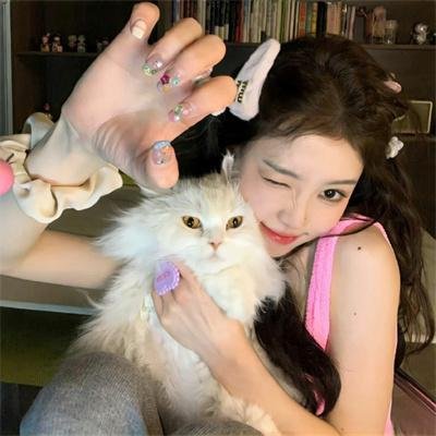 飞吧!
